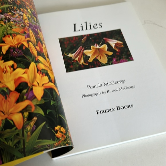 🌻4/$20 Vintage Lilies Book Softcover 2004 Edition Pamela McGeorge Firefly Books - Picture 3 of 16